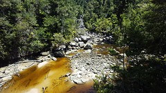 Abel tasman
