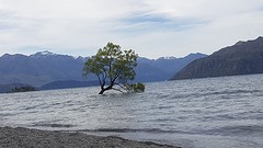 DE Wanaka boom