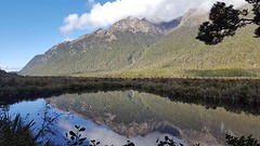 Mirror lake