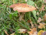 CIMG0473