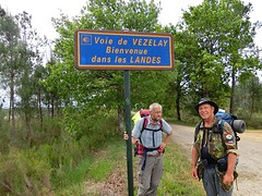 CIMG1370