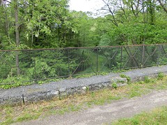 CIMG1375