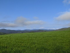 CIMG1443