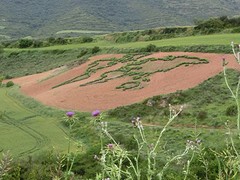 CIMG1483