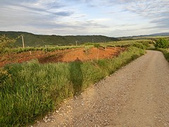 CIMG1486