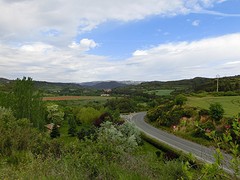 CIMG1489