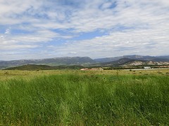 CIMG1497