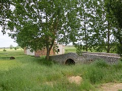 CIMG1653