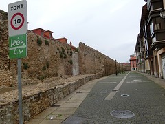 CIMG1664