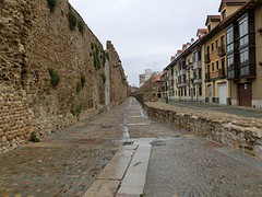 CIMG1665