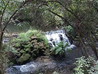 IMG-20180716-WA0010