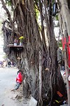 DSC00708