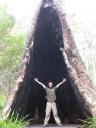 Ook in Valley Of The Giants