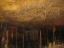 De Narracoorte Caves