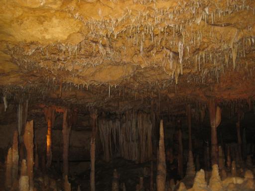 De Narracoorte Caves