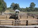 Op de paardenfarm