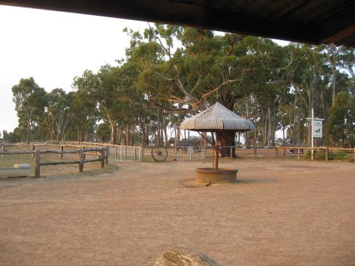 Het erf van de paardenfarm