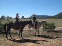 Horseriding in The Grampians National Park