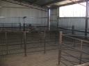 Op de schapenboerderij