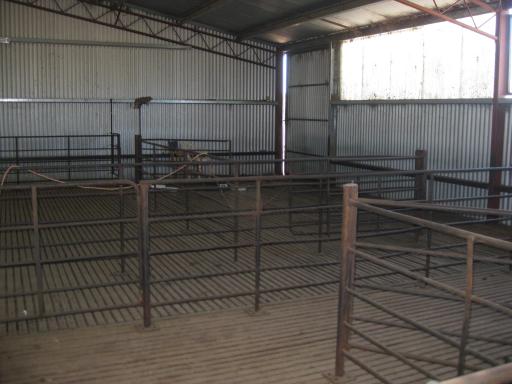Op de schapenboerderij