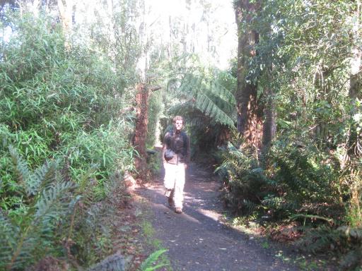 Tarra-bulga National Park