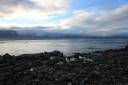 Zeeleeuw aan Kaikoura