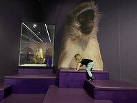 2BB8D887-232F-4339-B2AD-D52EBBAA926C