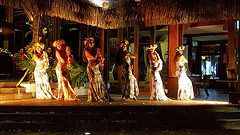 Polynesische dansshow