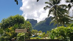 View Bora Bungalove