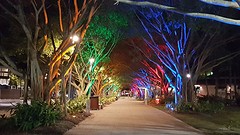 Cairns by night