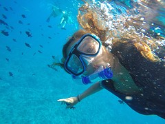Snorkelen