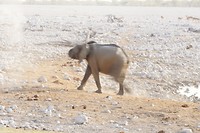 DSC00943
