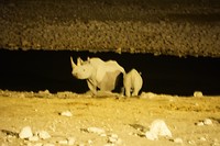 DSC00968