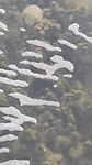 VID_20190730_170954