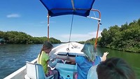 VID_20190730_155301