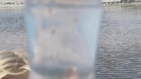 VID_20190730_163121