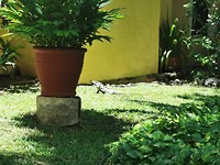 IMG_20190802_121756