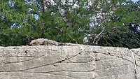 VID_20190802_095502