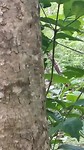 VID_20190802_113703