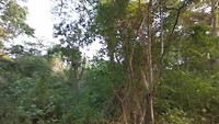 VID_20190803_070356