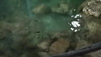 VID_20190801_175849