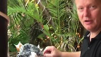 VID-20190807-WA0022