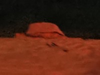 IMG_20190807_234734