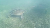 VID_20190808_171442