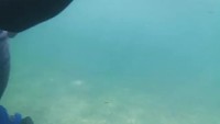 VID_20190808_170503