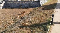 VID_20190809_085235
