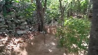 VID_20190809_092029