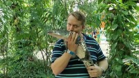 VID_20190811_121409