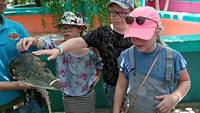 VID_20190811_121522
