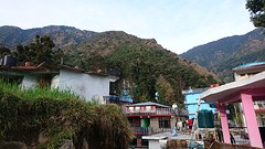 DSC_2607